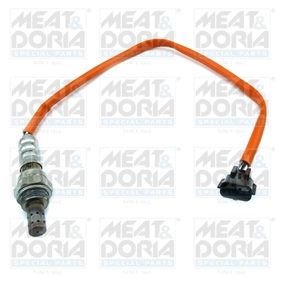 Oxygen Sensor